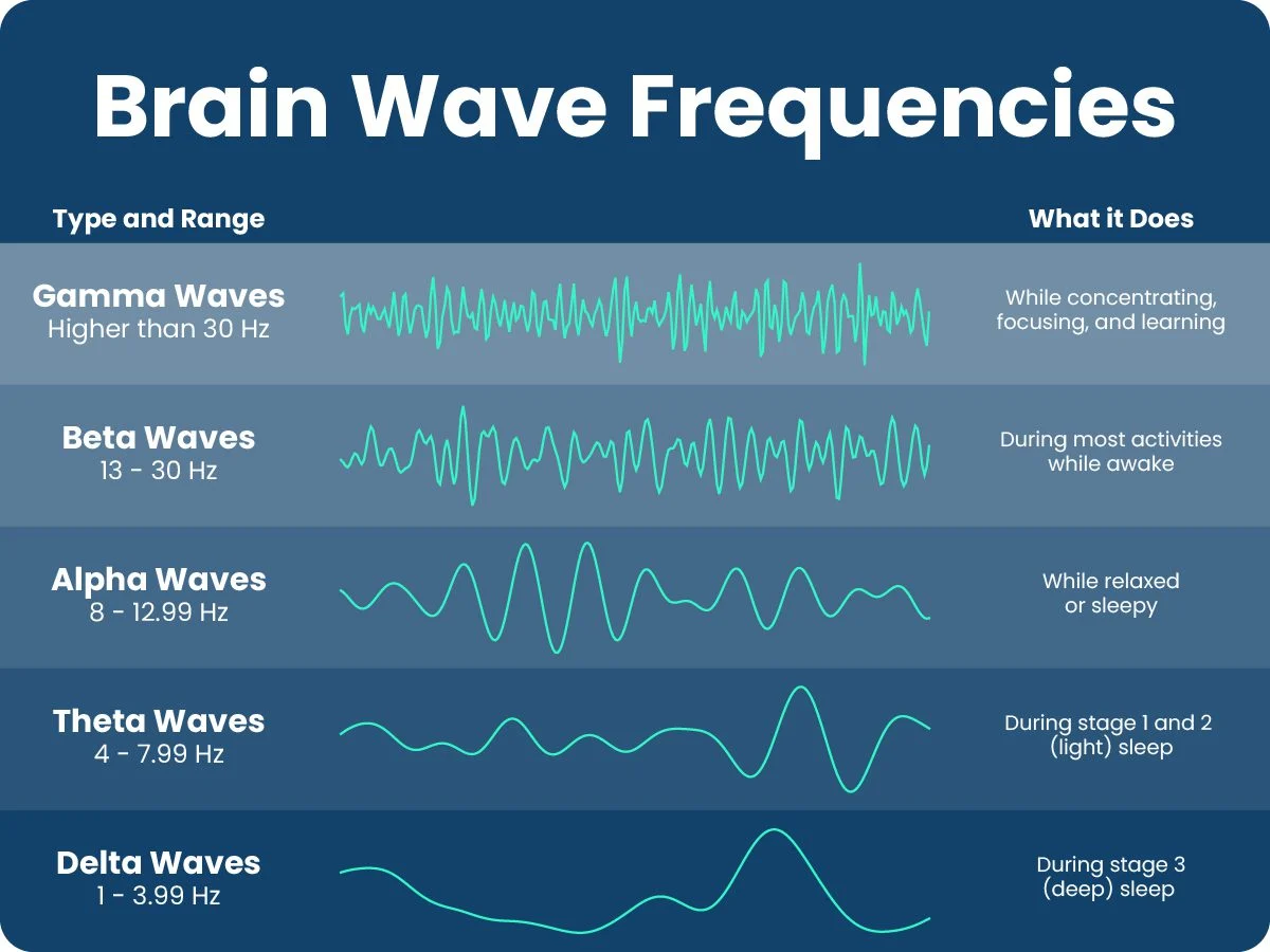 brainwaves.webp