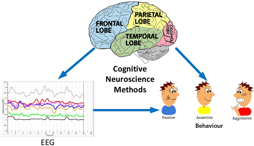 cognitive-neuroscience-methods.jpg