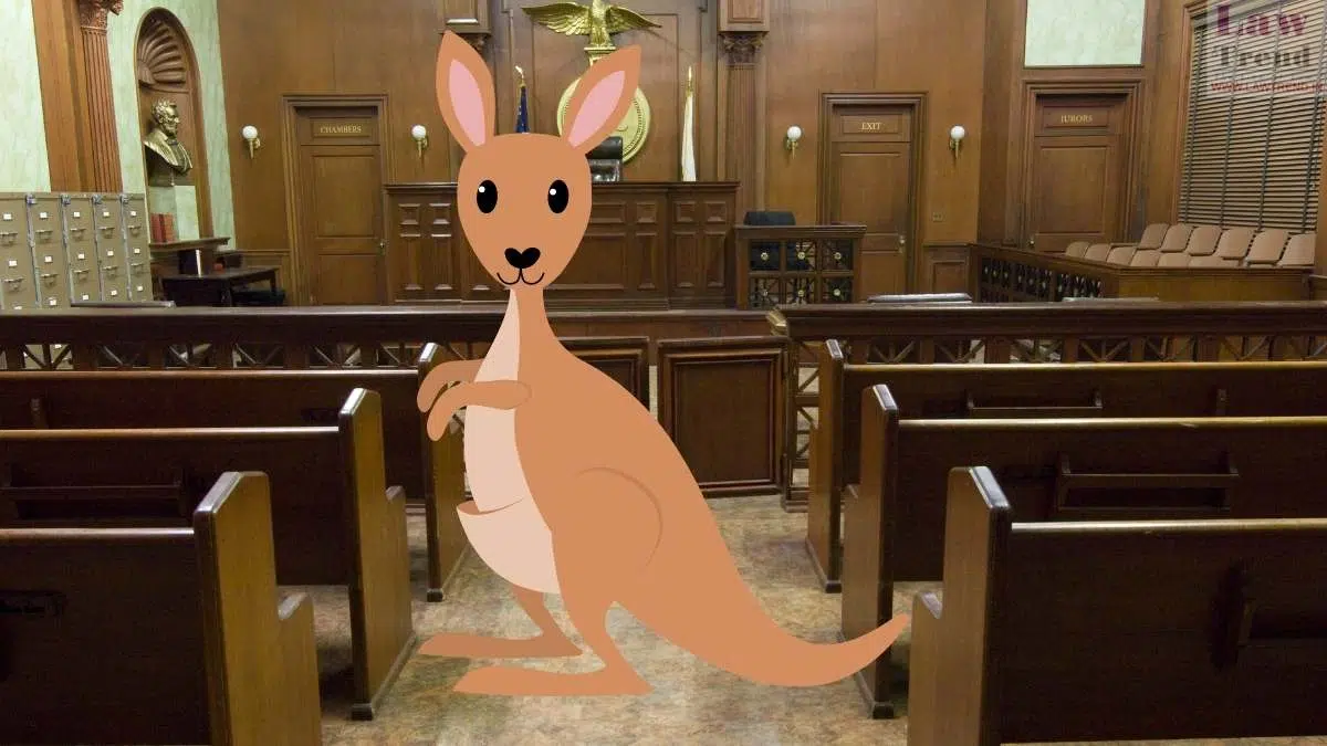 kangaroo-court.webp